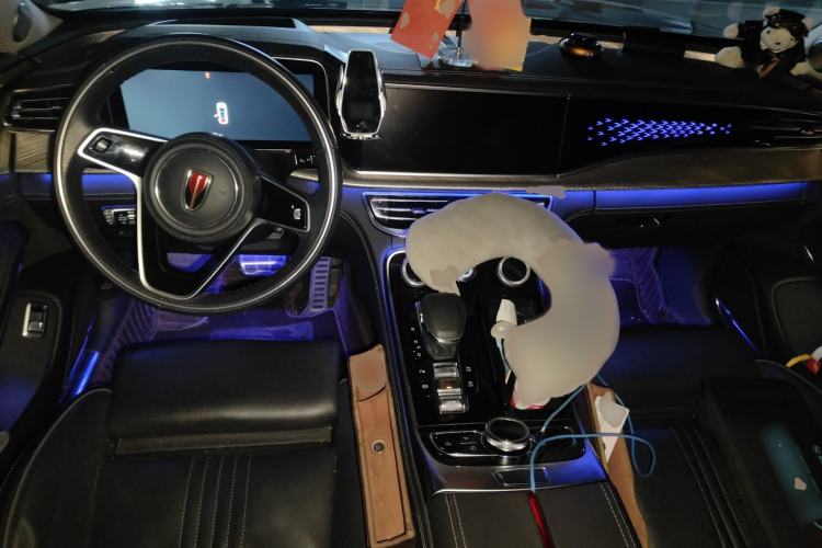 Used Hongqi H9 2020 2.0T Smart Connect Flagship Edition