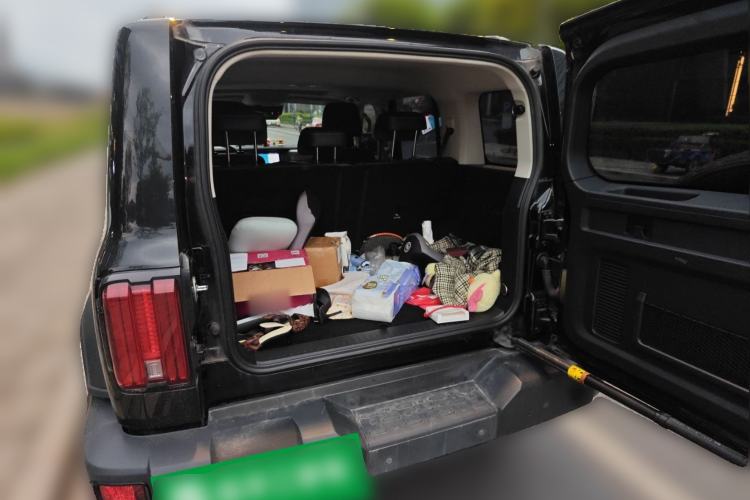 Used Tank 300 2023 Off-Road Edition 2.0T Challenger
