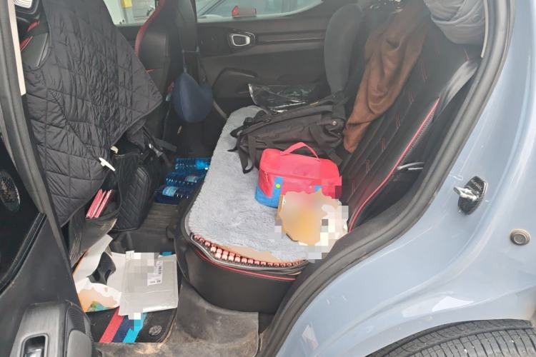 Used Haval X DOG 2022 1.5T DCT Four-Wheel Drive Trendy Wild Edition Left Rear Seat