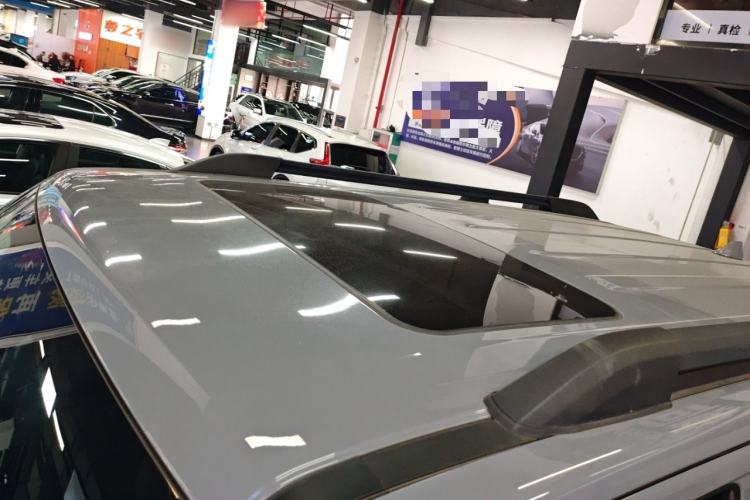 Used Tank 300 2021 Off-Road Edition 2.0T Challenger