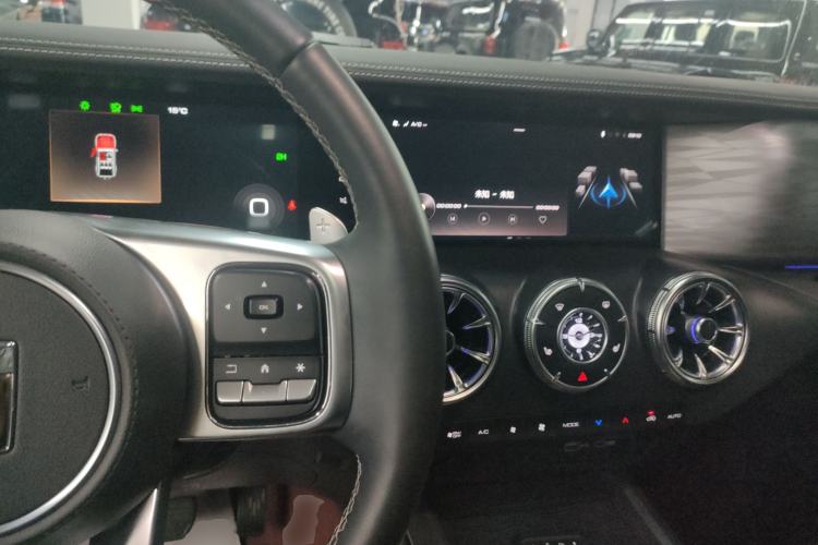 Used Tank 300 2024 2.0T Conqueror
