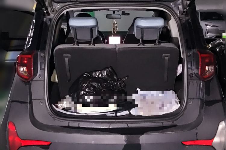 Used Chery Little Ant 2022 Sweet Pink Edition Half-Sugar Version Lithium Iron Phosphate 30 kW 301 km