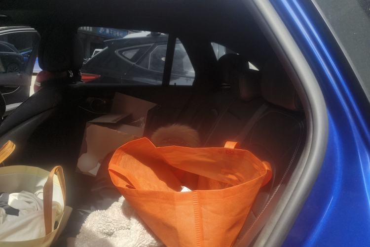 Used Mercedes-Benz GLC 2019 GLC 260 4MATIC Dynamic Edition Left Rear Seat