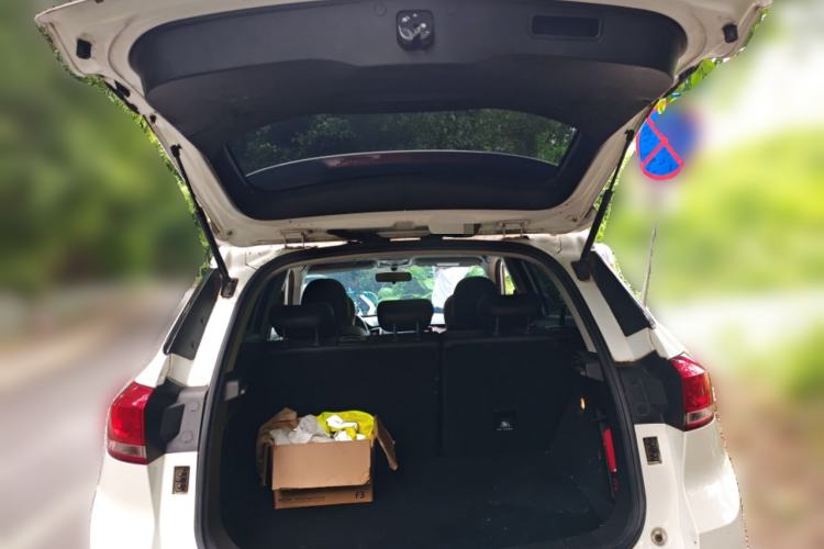 Used Haval H6 Coupe 2019 1.5T Automatic Two-Wheel Drive Elite Version China VI Standard