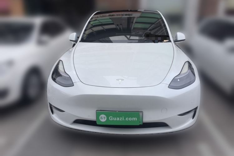 Used Tesla Model Y 2021 Standard Range Rear-Wheel Drive Version
