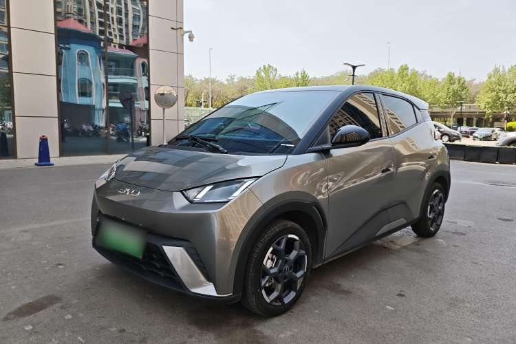 Used BYD Seagull 2025 305 km Free Version