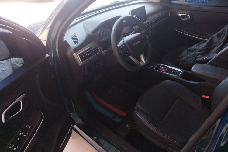 Used Dayun Yuehu 2022 30.66 kWh Two-Wheel Drive VIP Edition
