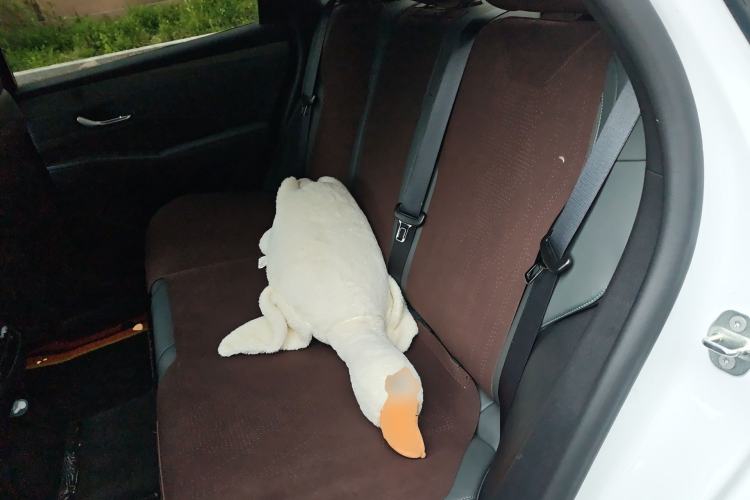 Used BYD Qin PLUS 2025 DM-i Smart Drive 55KM Leading Model
