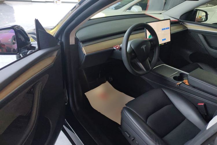 Used Tesla Model Y 2021 Standard Range Rear-Wheel Drive Version
