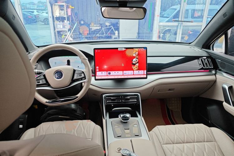 Used BYD Tang New Energy 2024 DM-p Champion Edition 215KM Four-Wheel Drive Deluxe Model
