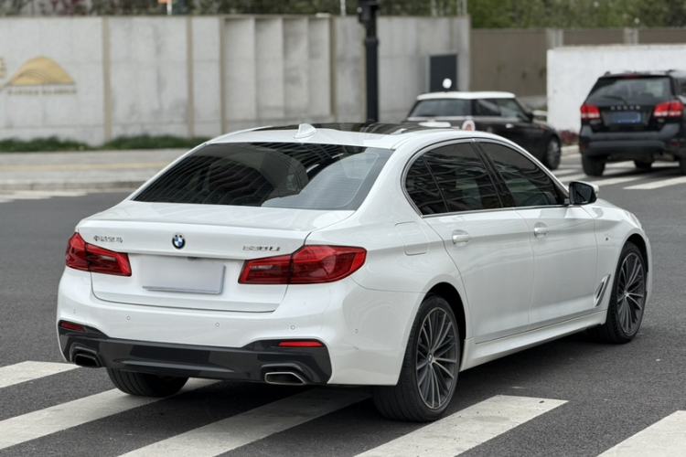 Used BMW 5 Series 2020 530Li Luxury Edition M Sport Package Exterior 10