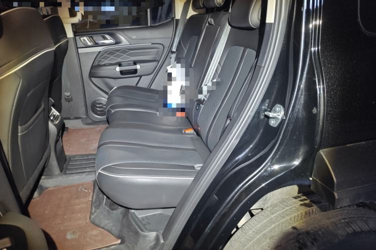 Used Tank 300 2024 2.0T Conqueror