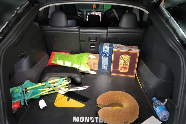 Used Tesla Model Y 2021 Standard Range Rear-Wheel Drive Version