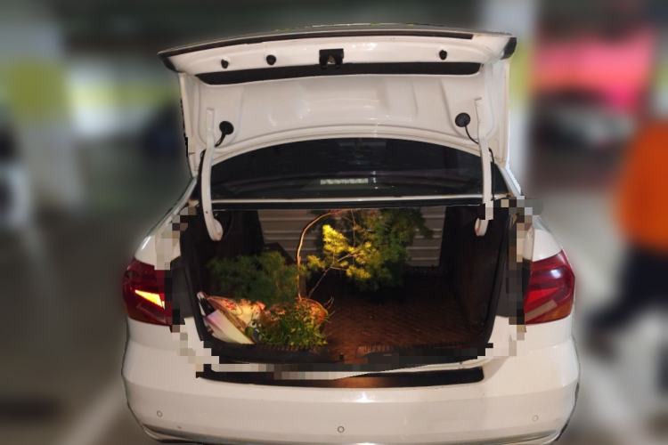 Used Volkswagen Jetta 2017 1.5L Manual Comfort Model
