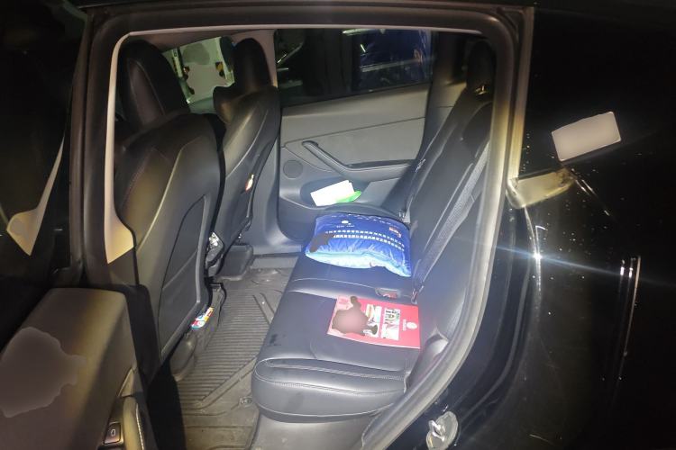 Used Tesla Model Y 2021 Standard Range Rear-Wheel Drive Version
