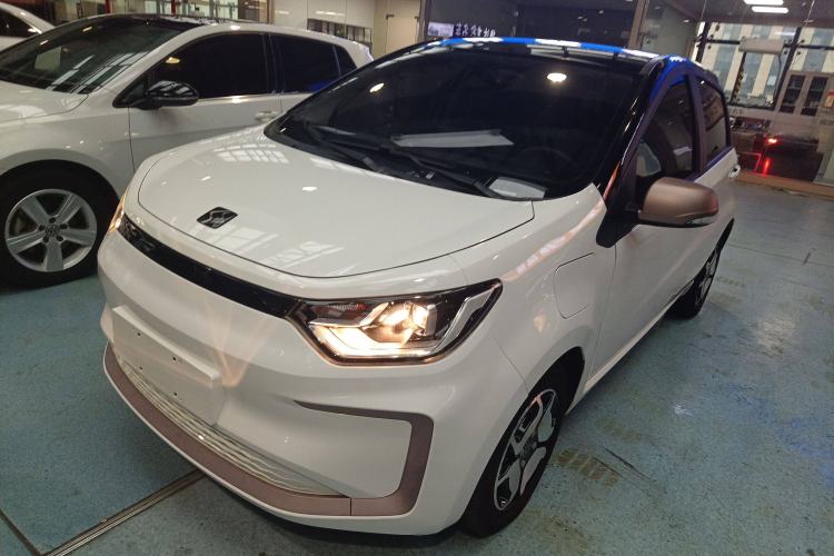 Used SOL E10X 2022 Flower Fairy Style Baby's Breath