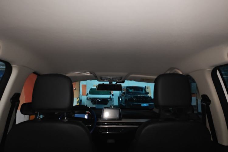 Used Dayun Yuehu 2021 32.85 kWh Two-Wheel-Drive Sprite Version Headliner