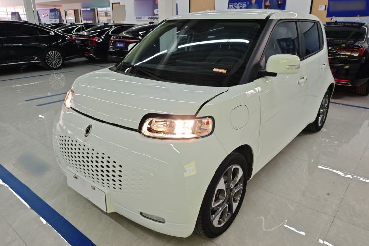 Used ORA White Cat 2020 305 km Luxury Version