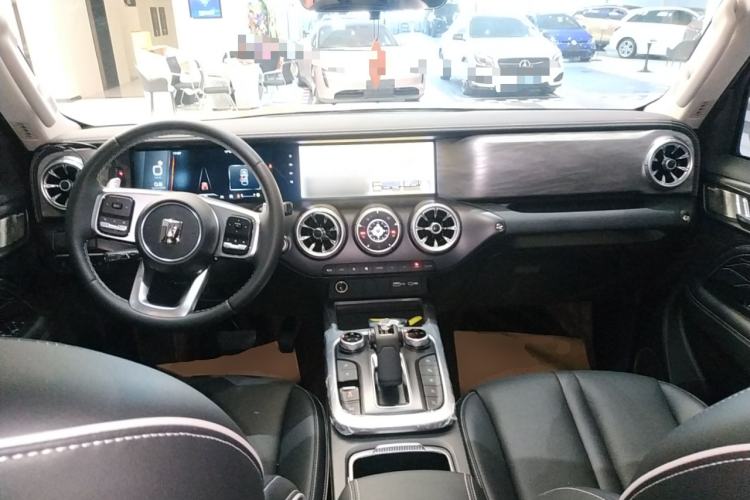 Used Tank 300 2024 2.0T Conqueror