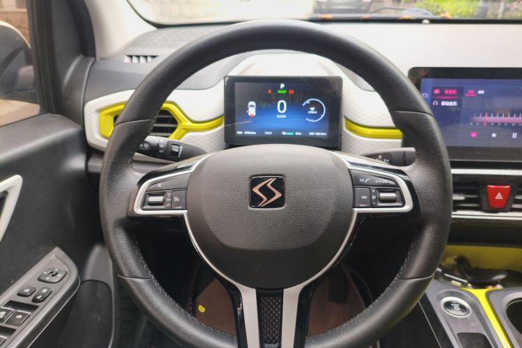 Used SOL E10X 2021 302 km Range Fashion Edition 31.4 kWh Steering Wheel