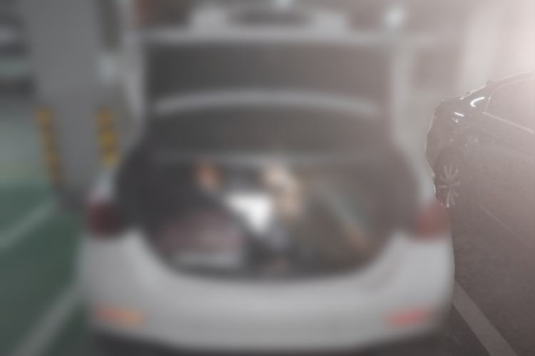 Used Mercedes-Benz C-Class 2022 C 260 L Obsidian Night Sport Edition Trunk