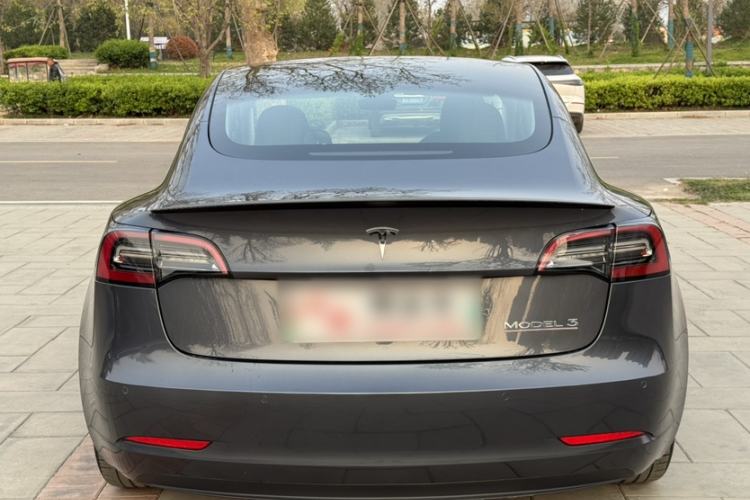 Used Tesla Model 3 2021 Performance High-Performance All-Wheel-Drive Version
