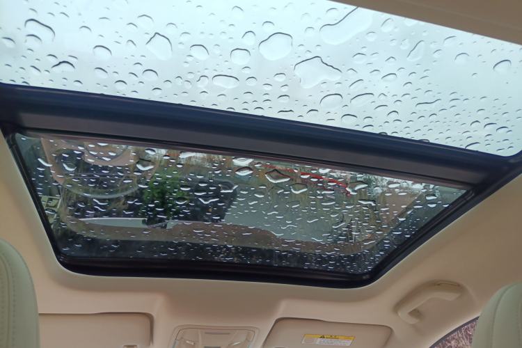 Used ORA Good Cat 2023 401 km Standard Range Premium Version Lithium Iron Phosphate Headliner