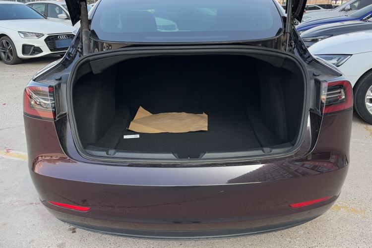 Used Tesla Model 3 2021 Performance High-Performance All-Wheel-Drive Version 3D6