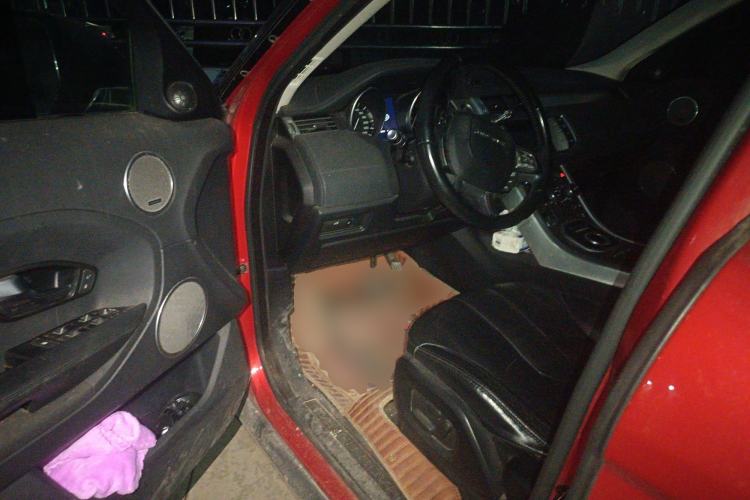 Used Land Rover Range Rover Evoque 2014 2.0T 5-Door Luxury Edition