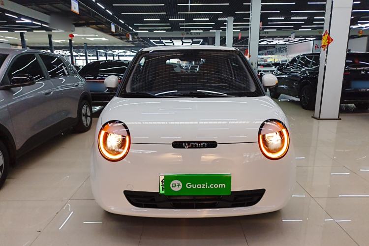 Used Qiyuan Lumin 2023 205km Xiangqin Version