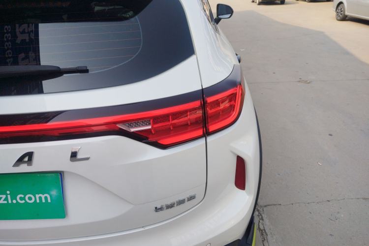 Used Haval LHERY 2021 High-Performance Version 1.5T Golden Rabbit Right Rear Taillight