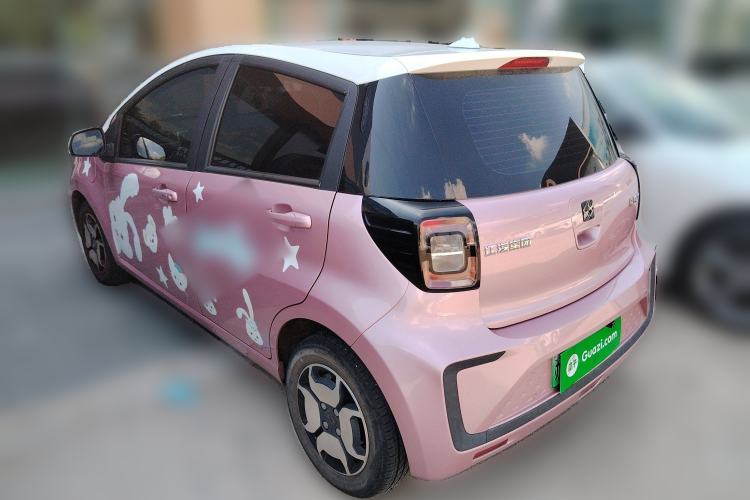 Used SOL E10X 2022 Flower Fairy Style Baby's Breath