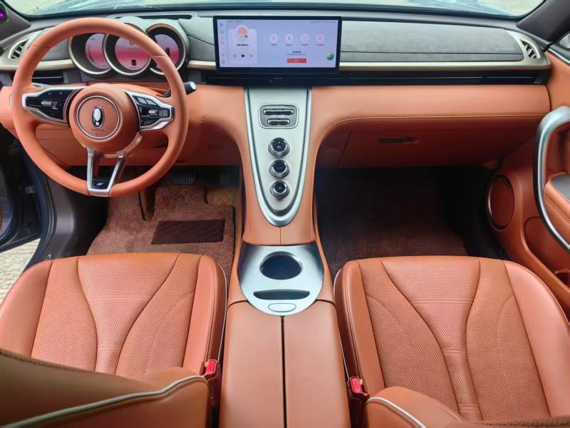 Used ORA Lightning Cat 2022 555 km Luxury Edition – Premium — 34