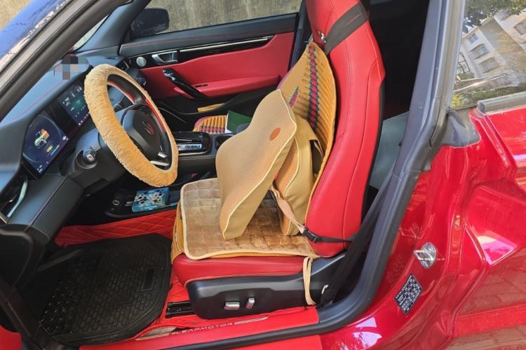 Used Leapmotor S01 2019 380 Pro Left Front Seat