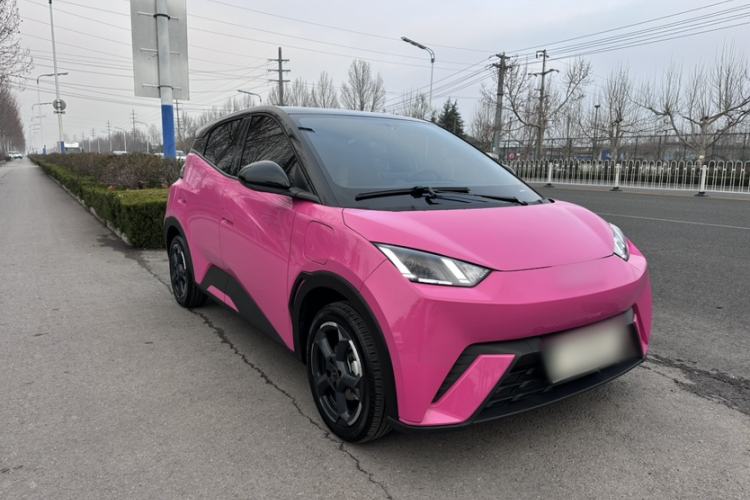 Used BYD Seagull 2024 Honor Edition 305km Freedom Version
