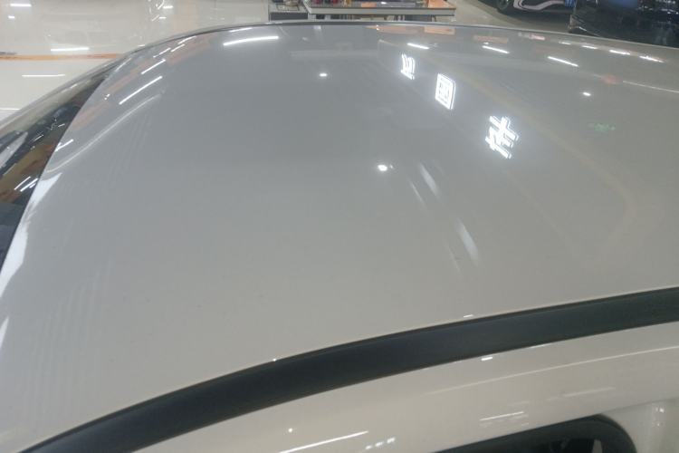 Used NETA V 2022 Chao 400 Lite Roof