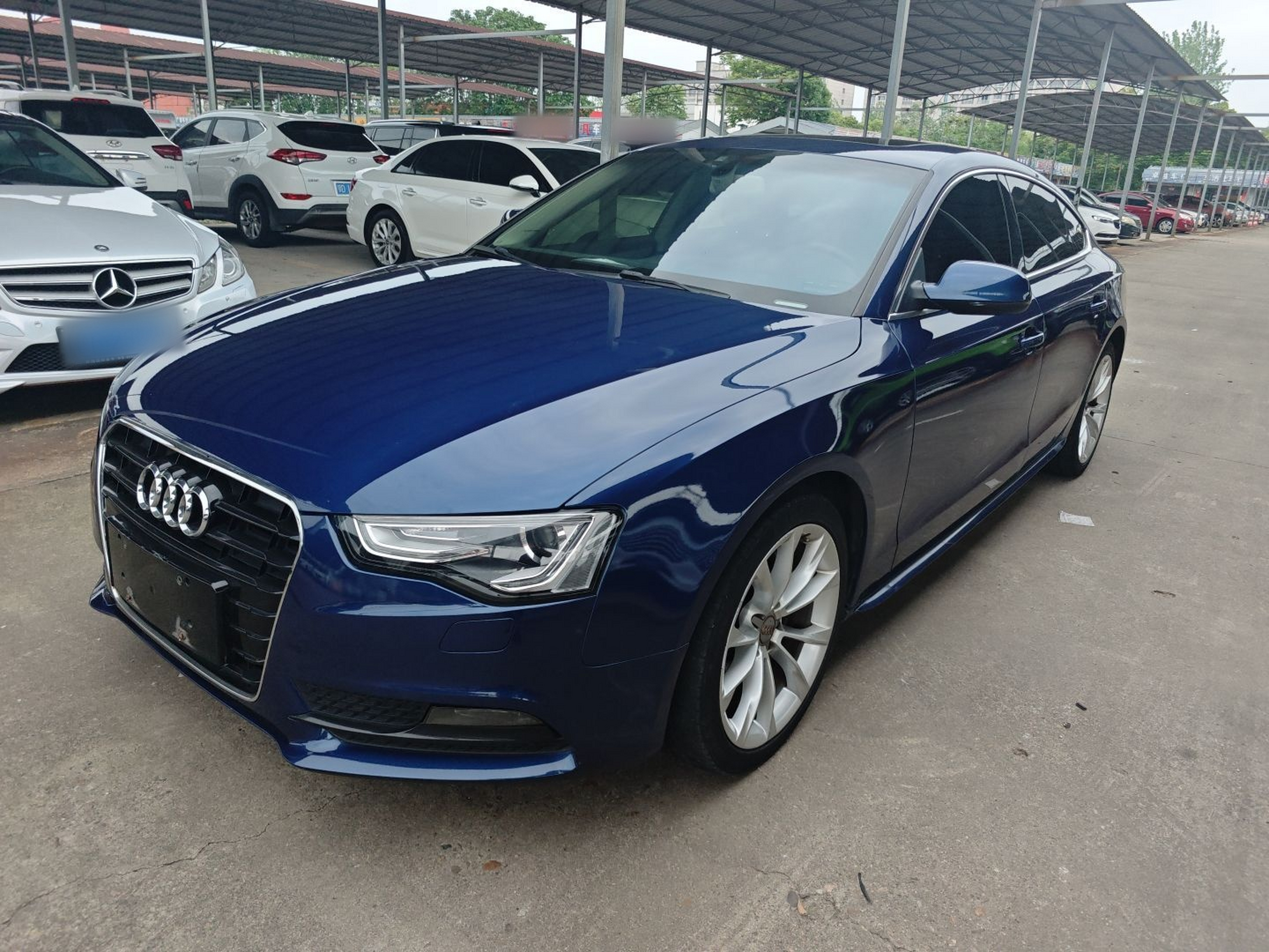 تحت مقدمة السيارة