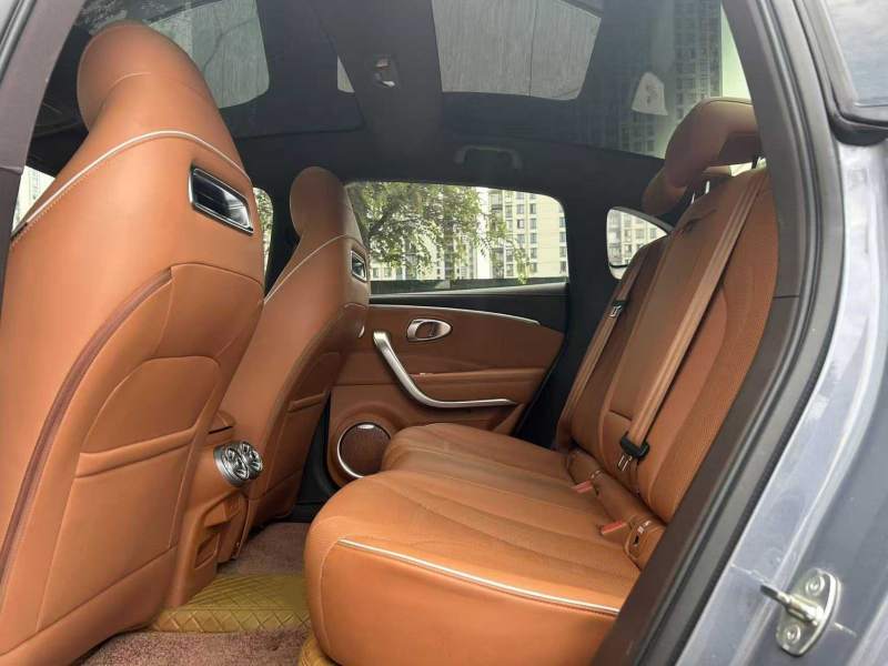 Used ORA Lightning Cat 2022 555 km Luxury Edition – Premium — 36