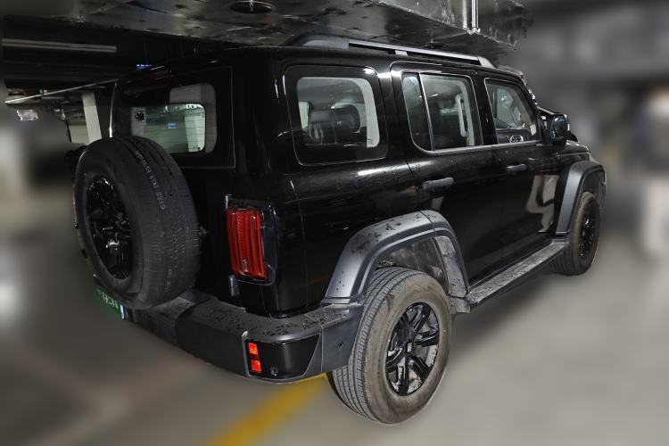 Used Tank 300 2025 2.4T Diesel Version
