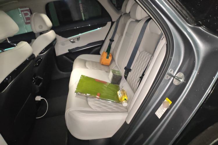 Used BYD Han 2020 EV Long-Range Deluxe Model Left Rear Seat