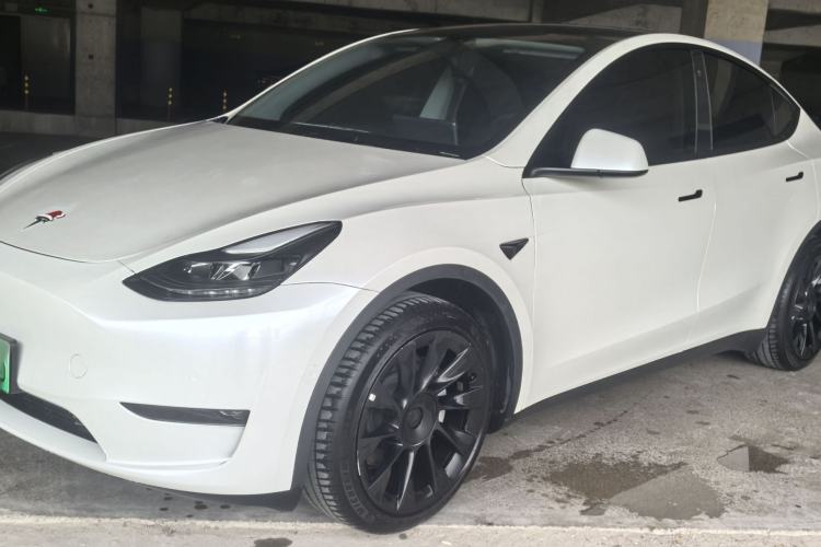 Used Tesla Model Y 2021 Standard Range Rear-Wheel Drive Version