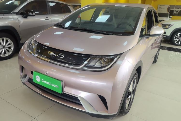 Used BYD Dolphin 2023 420 km Free Version