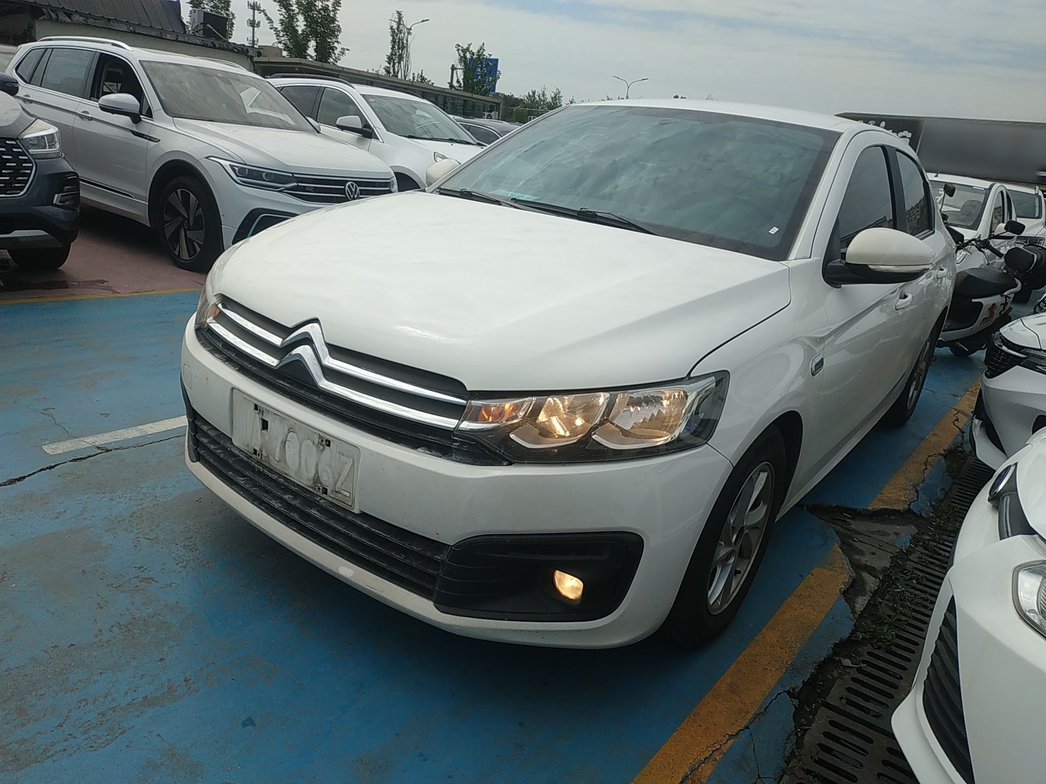 Parte inferior delantera