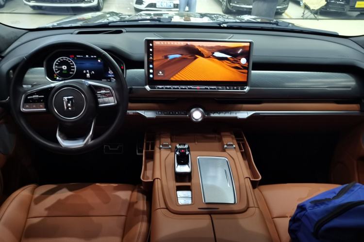 Used Tank 700 New Energy 2024 Hi4-T Extreme Edition
