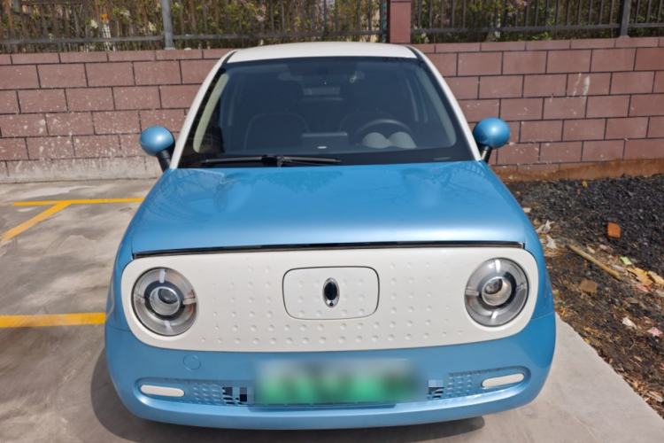 Used ORA Black Cat 2019 310km Fun Edition Front