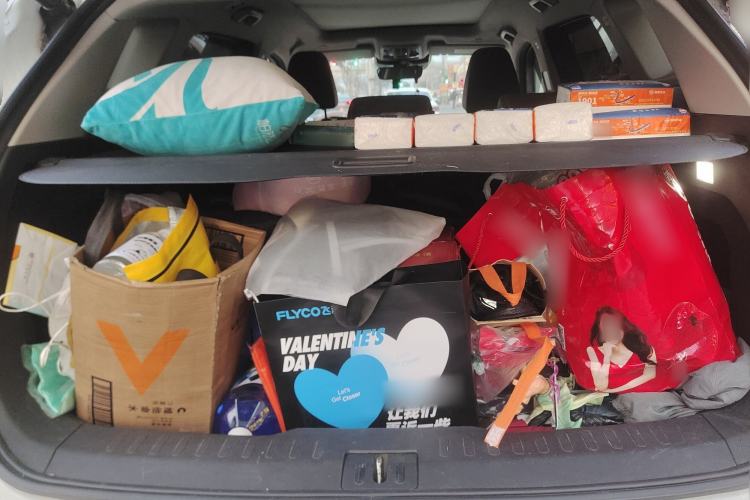 Used Wey VV6 2021 2.0T Two-Wheel Drive Smart Plus
