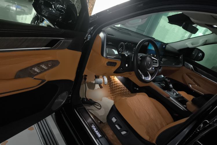 Used Tank 500 New Energy 2023 Hi4-T Driver Seat