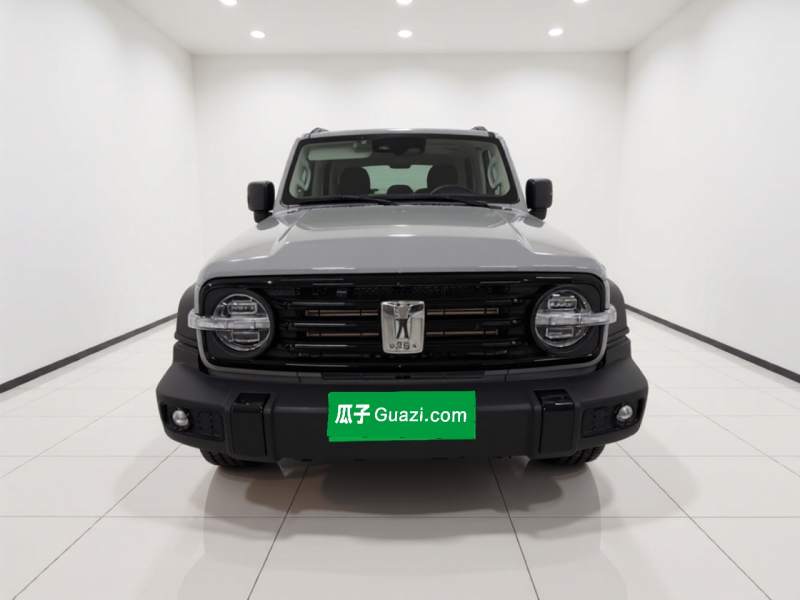 Used Tank 300 2021 Off-Road Edition 2.0T Conqueror — 11