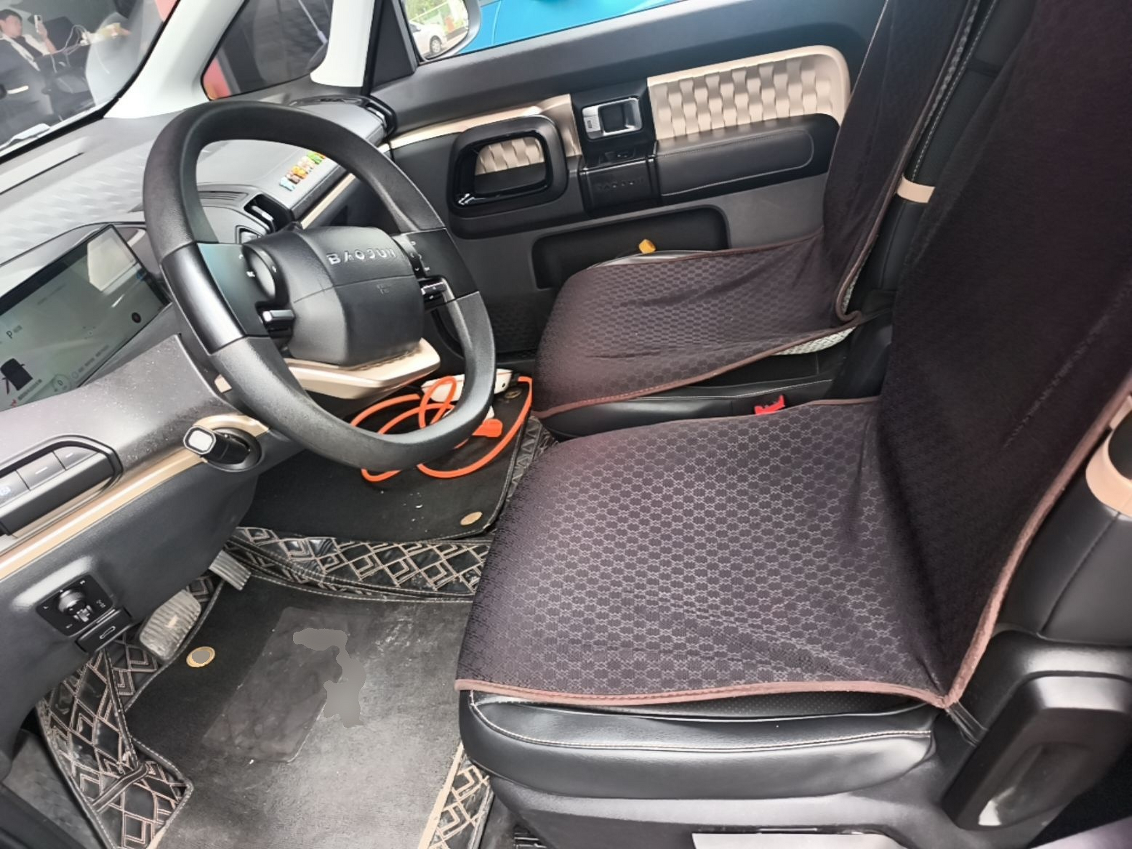 Interior delantero