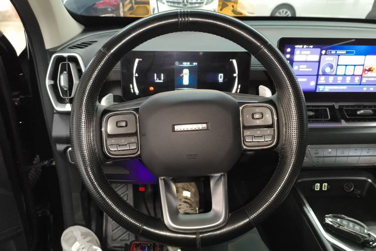 Used Haval H5 2023 2.0T Automatic Two-Wheel Drive LinkedIn Gasoline
